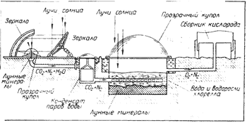 Крупнее
